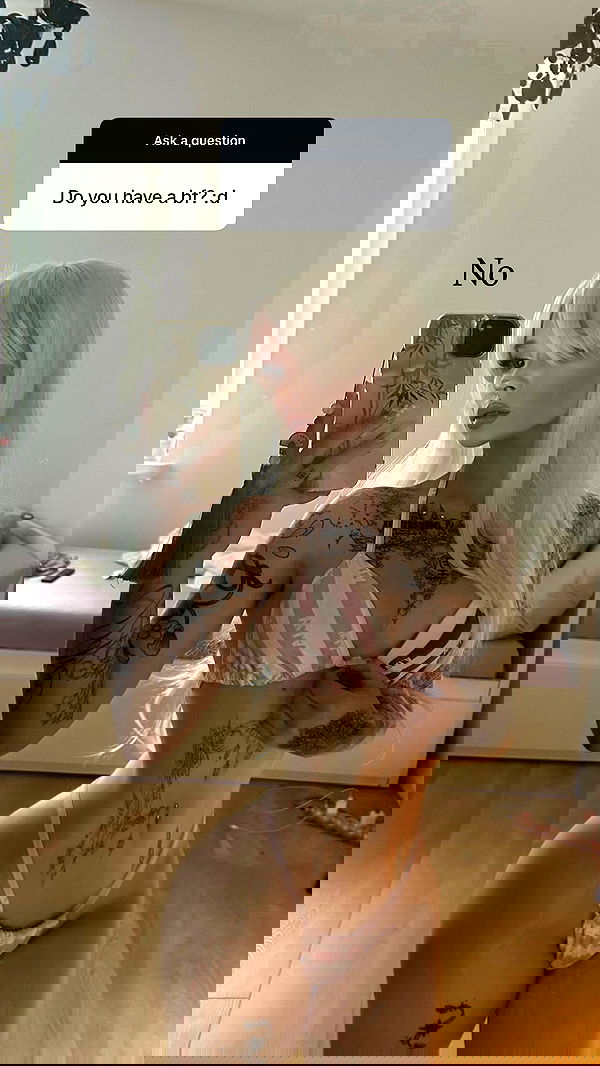 vwnrottie vwnrottie archive image