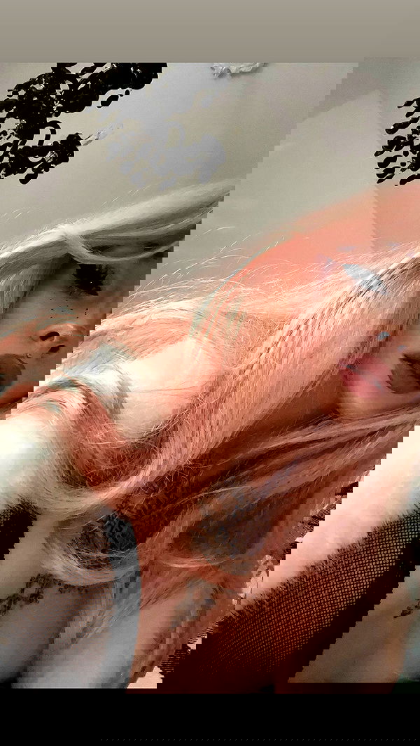 vwnrottie vwnrottie archive image