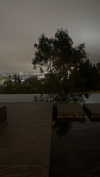 vy1ette Altpins Profile Picture