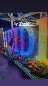 vy1ette Altpins Profile Picture