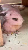 vy1ette Altpins Profile Picture