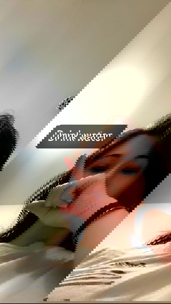 war_hamster6 war_hamster6 archive image