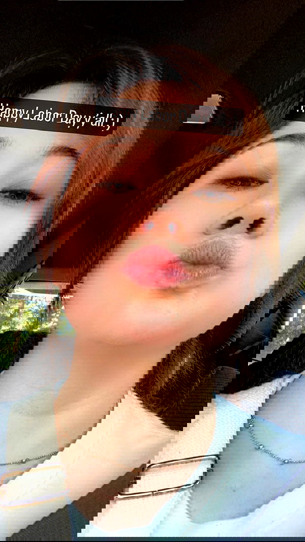 war_hamster6 war_hamster6 archive image