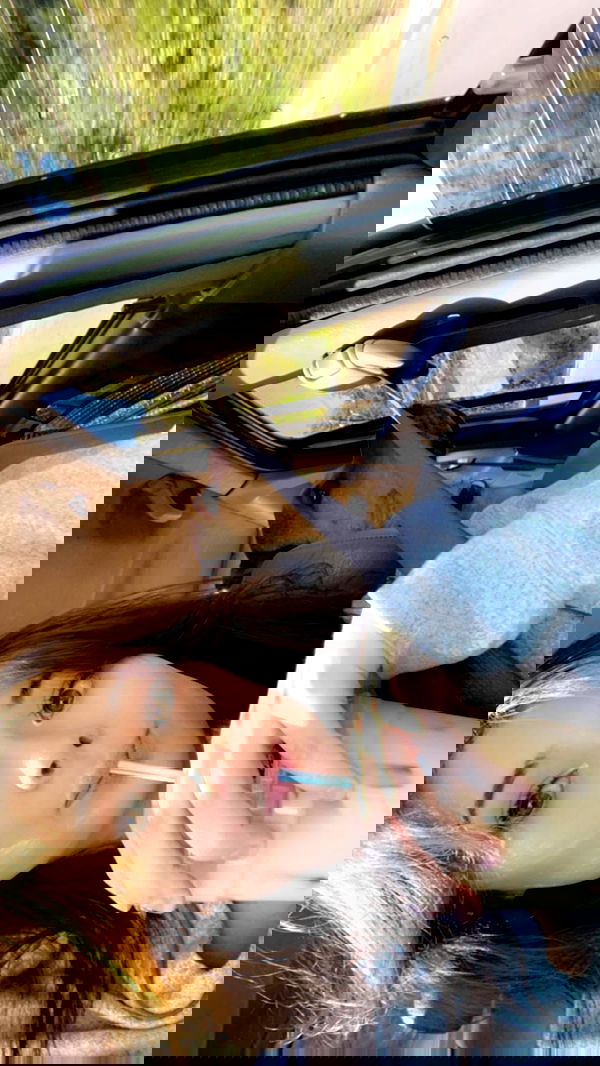 war_hamster6 war_hamster6 archive image