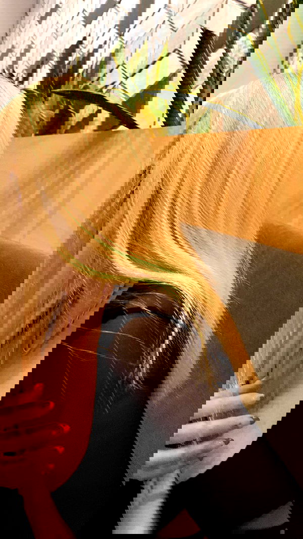 wesidera wesidera archive image