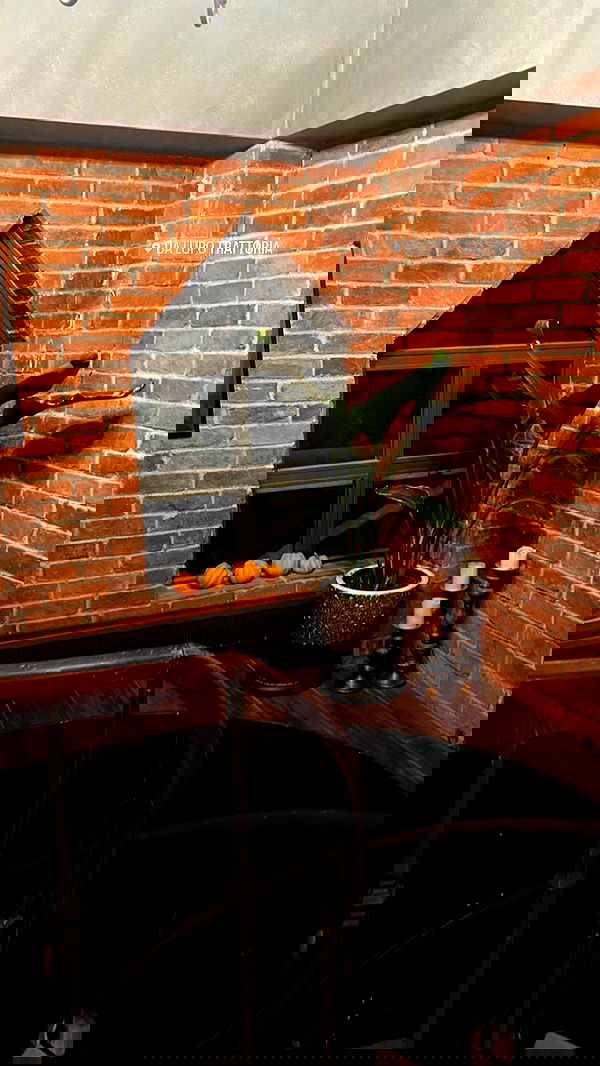 wesidera wesidera archive image