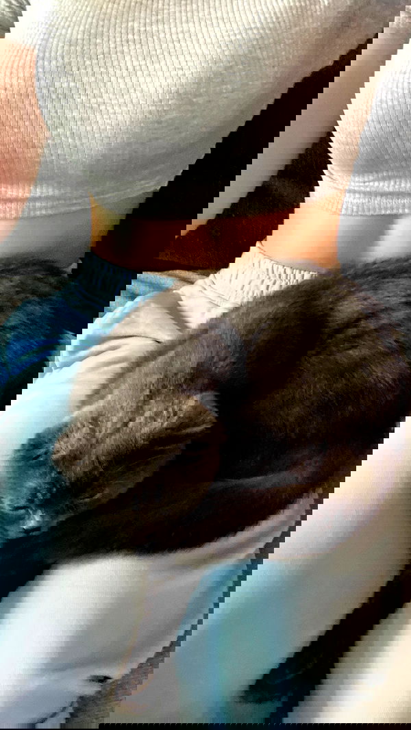 wesidera wesidera archive image