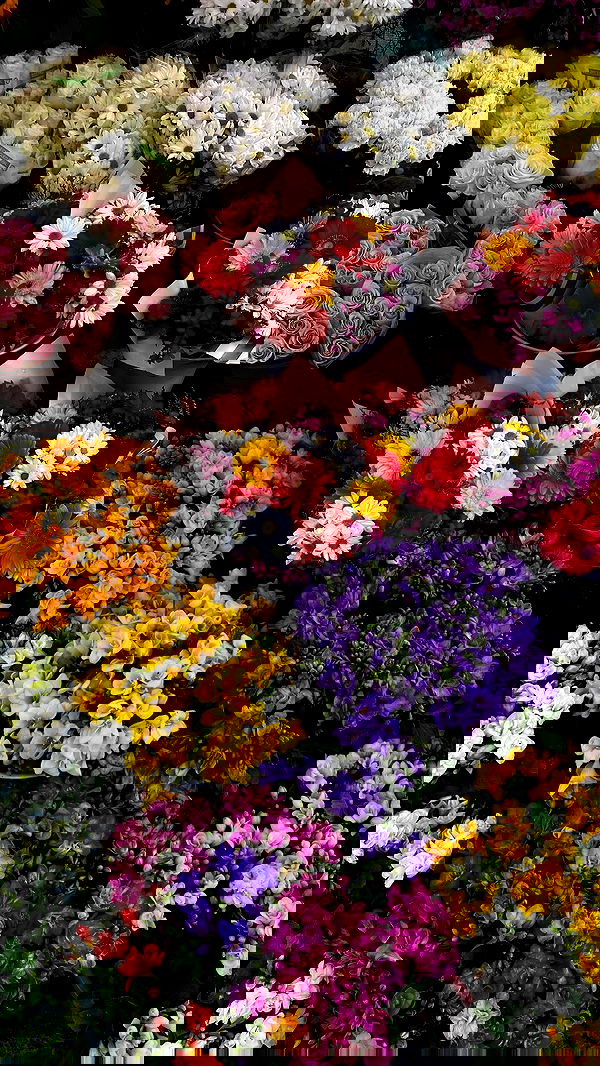 wesidera wesidera archive image