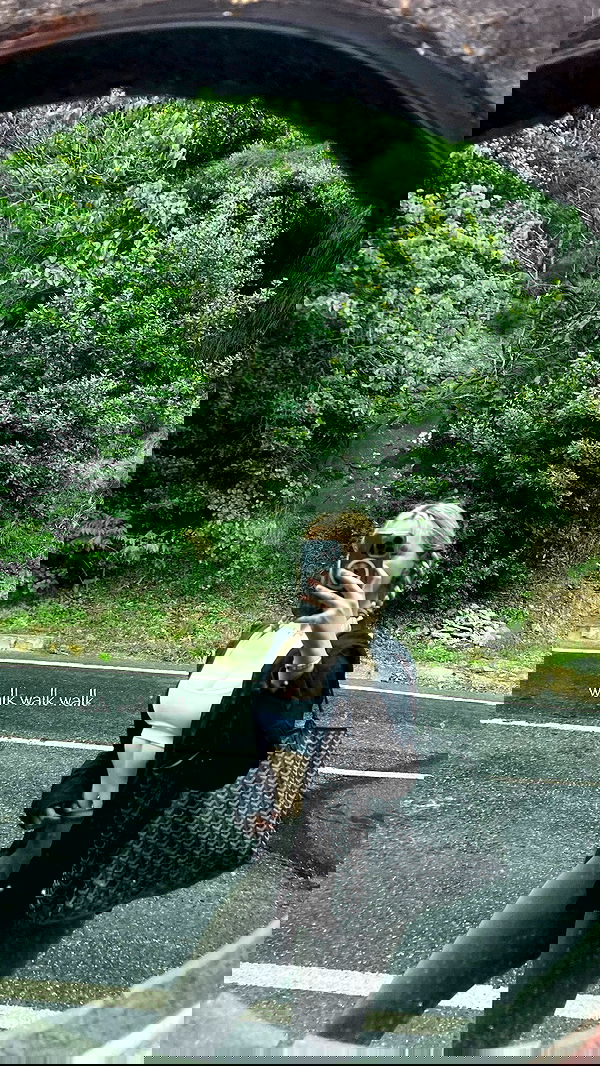 wesidera wesidera archive image