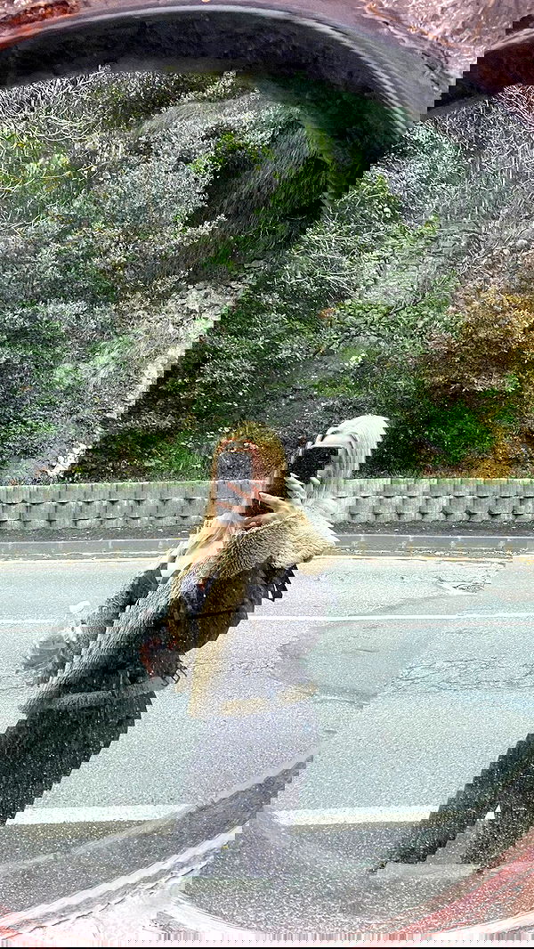 wesidera wesidera archive image