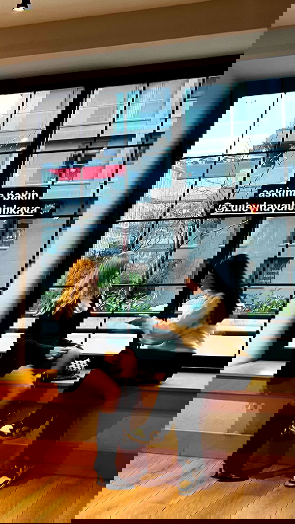 wesidera wesidera archive image