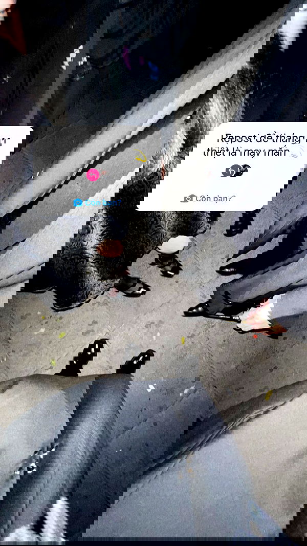 wexii_0612 wexii_0612 archive image