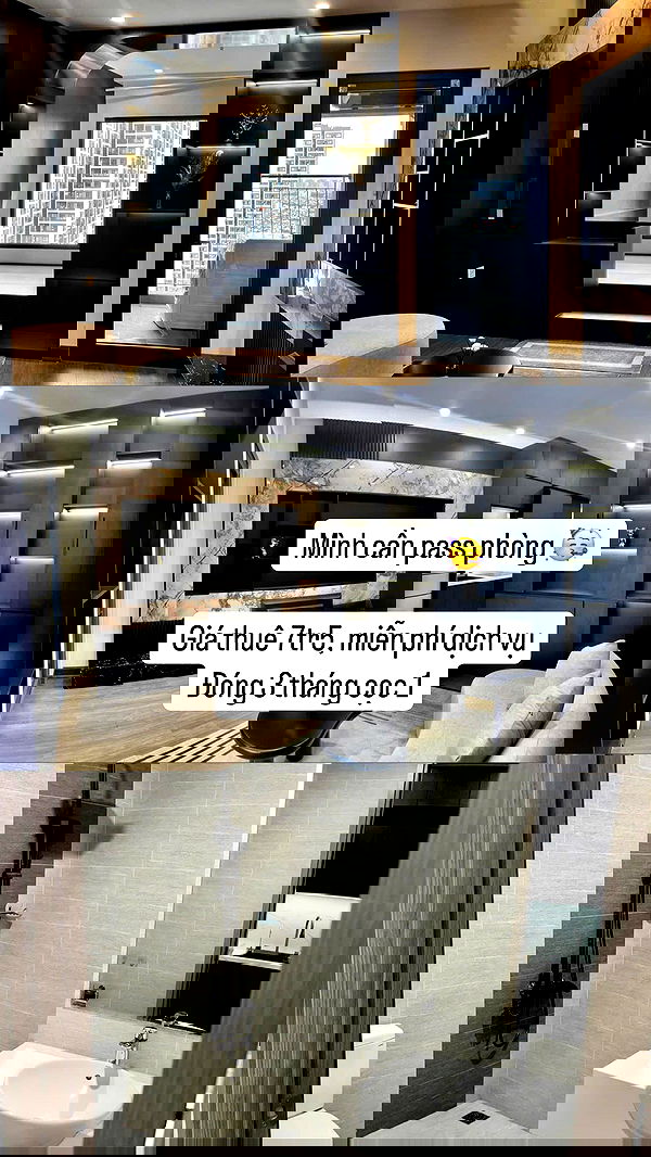 wexii_0612 wexii_0612 archive image