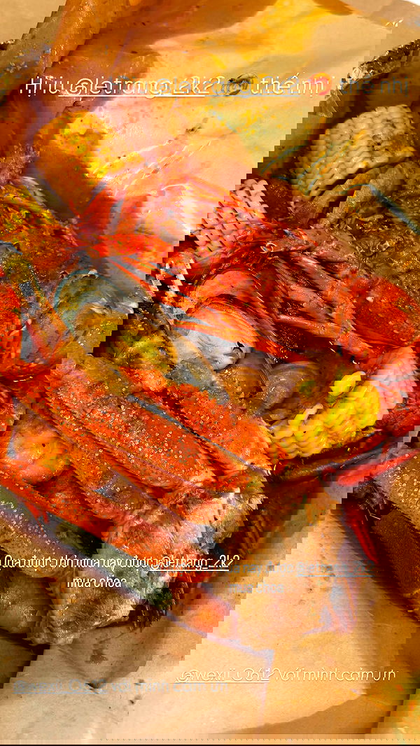 wexii_0612 wexii_0612 archive image