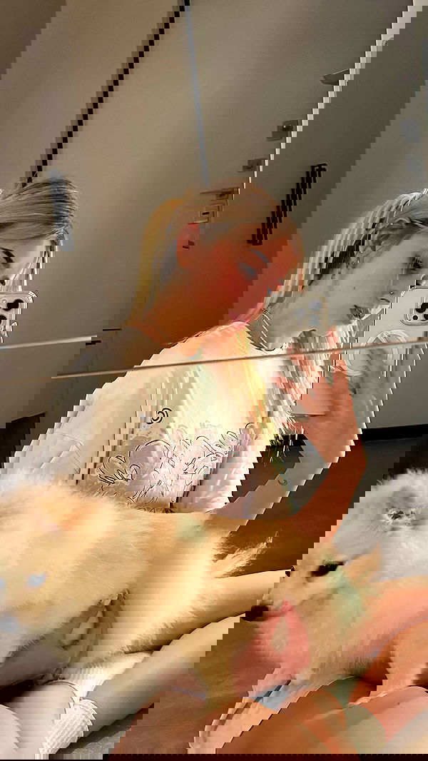 whylollycry whylollycry archive image