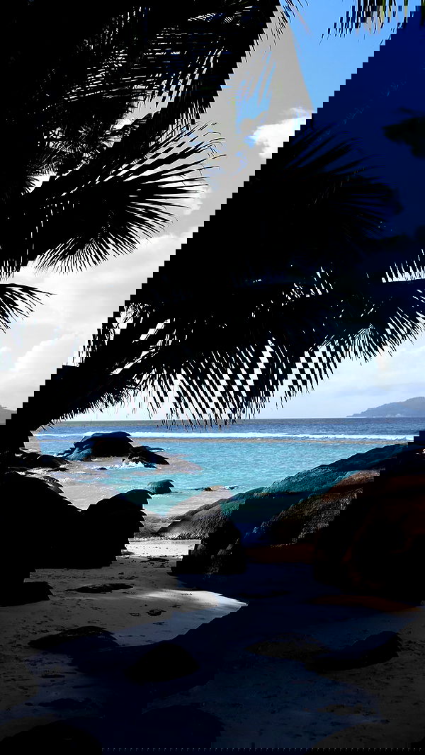 whylollycry whylollycry archive image