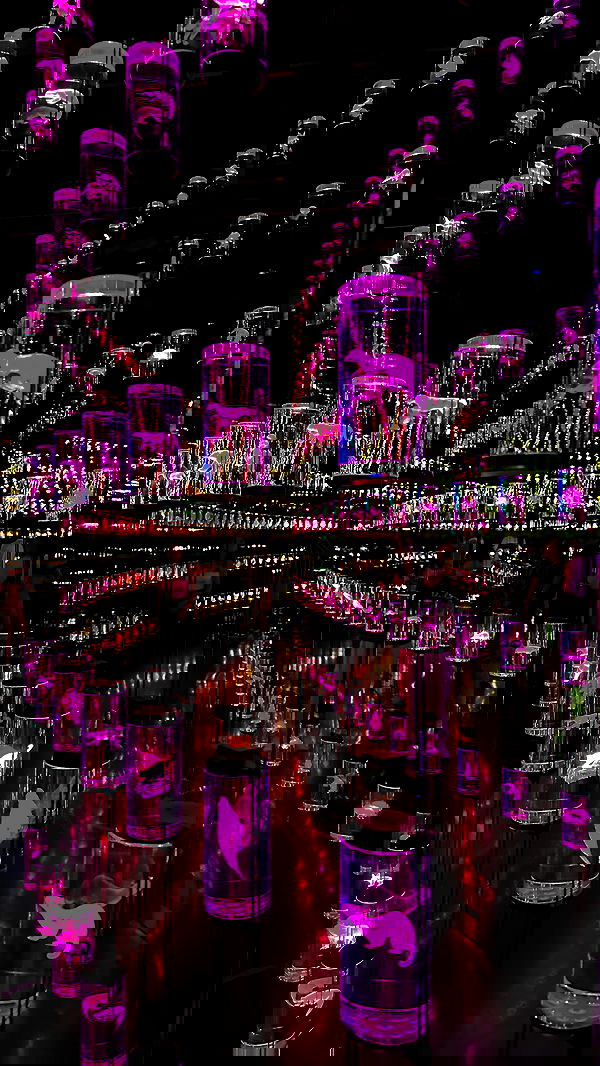 whylollycry whylollycry archive image