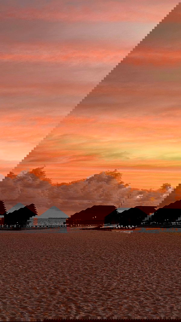 whylollycry whylollycry archive image