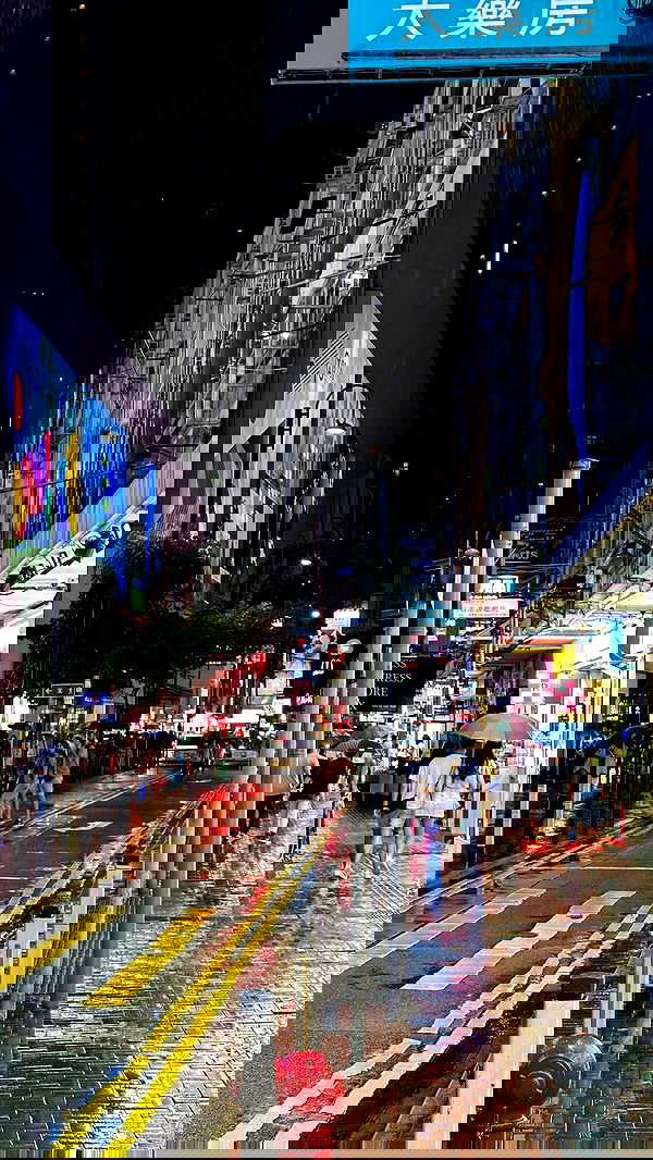 whylollycry whylollycry archive image