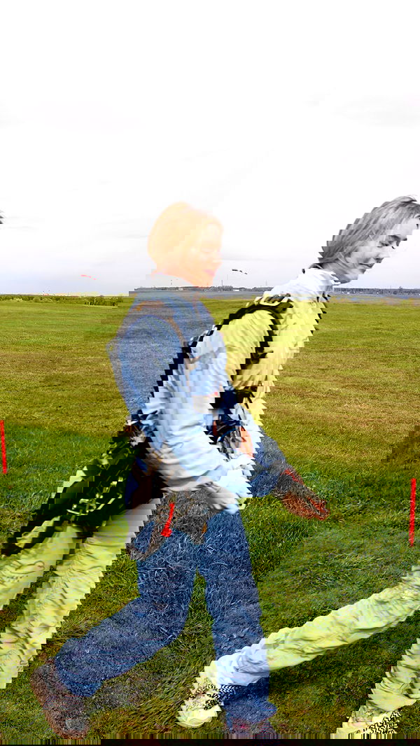 whylollycry whylollycry archive image