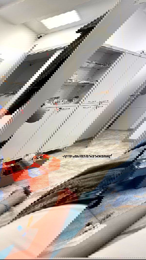 whylollycry whylollycry archive image