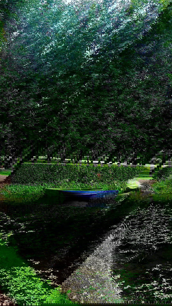 whylollycry whylollycry archive image