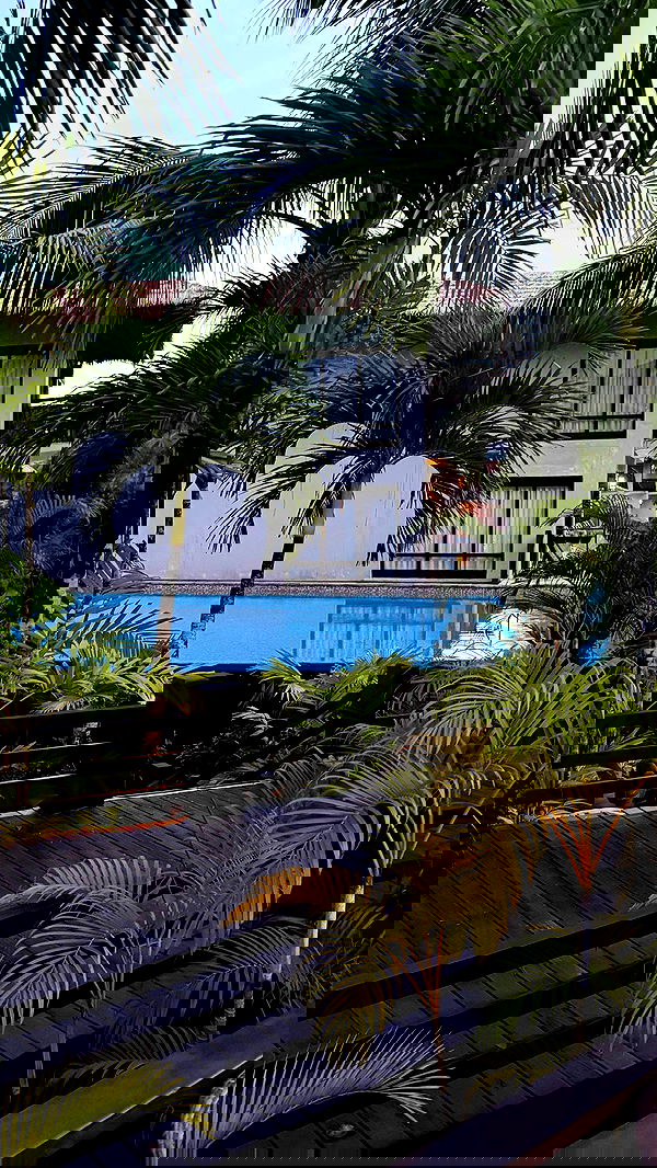 whylollycry whylollycry archive image