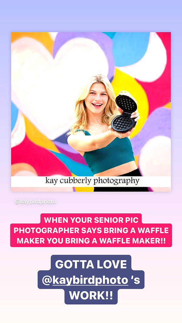 willitwafflemini willitwafflemini archive image