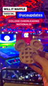 willitwafflemini Altpins Profile Picture
