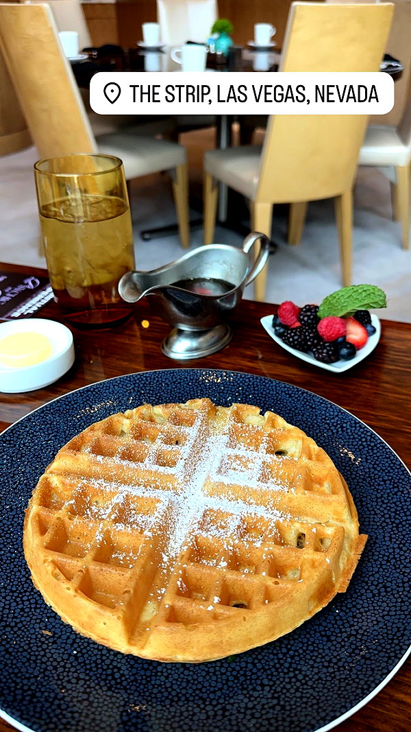 willitwafflemini willitwafflemini archive image