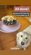 willitwafflemini Altpins Profile Picture