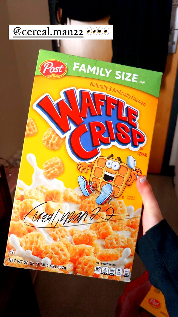 willitwafflemini willitwafflemini archive image