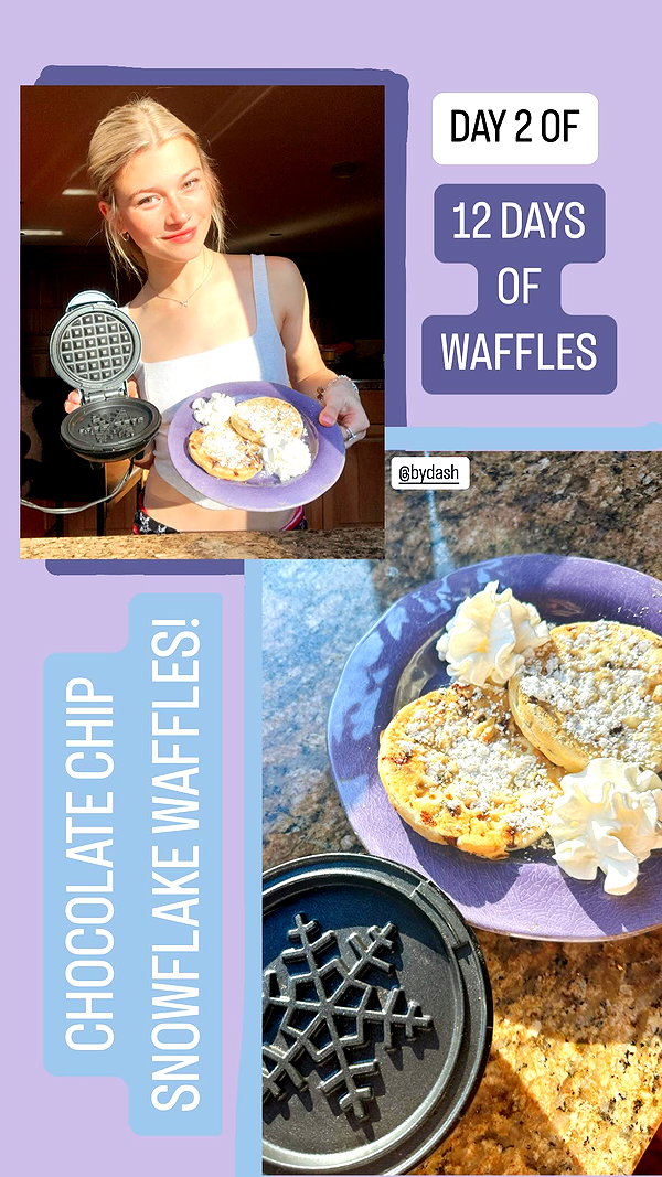 willitwafflemini willitwafflemini archive image