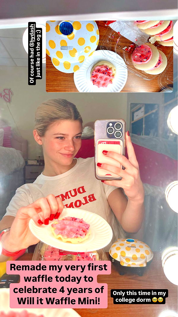 willitwafflemini willitwafflemini archive image