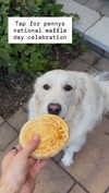 willitwafflemini Altpins Profile Picture