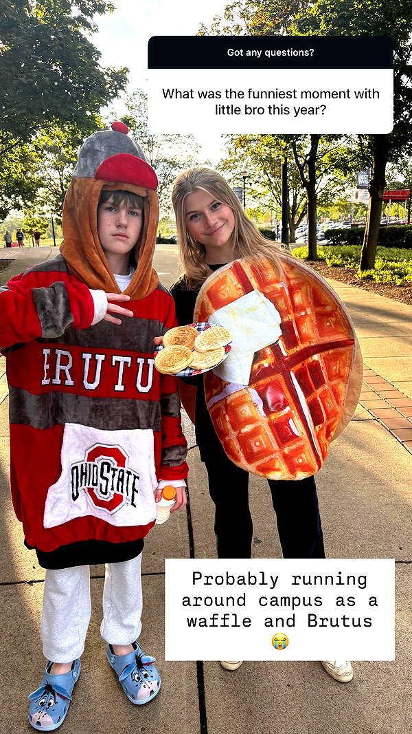 willitwafflemini willitwafflemini archive image