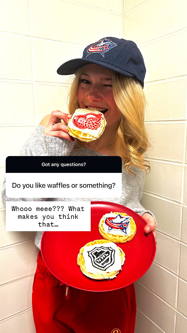 willitwafflemini willitwafflemini archive image