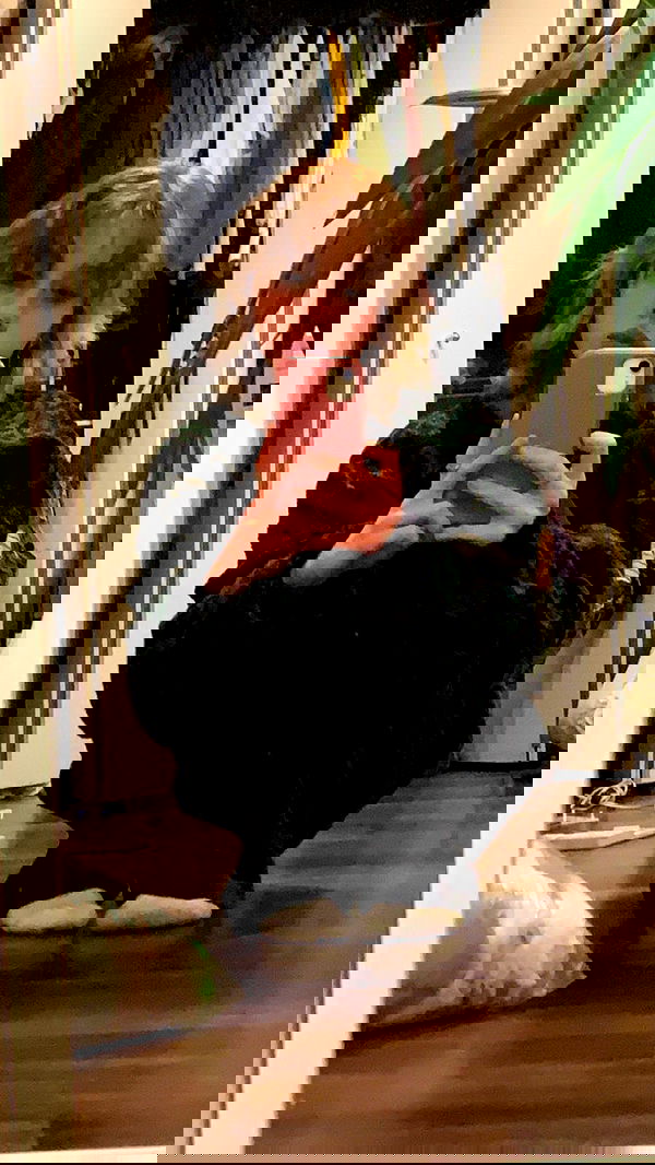 winbun.io winbun.io archive image