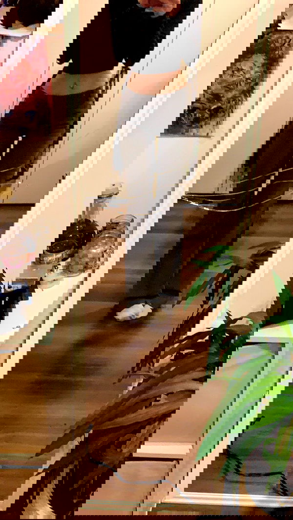 winbun.io winbun.io archive image