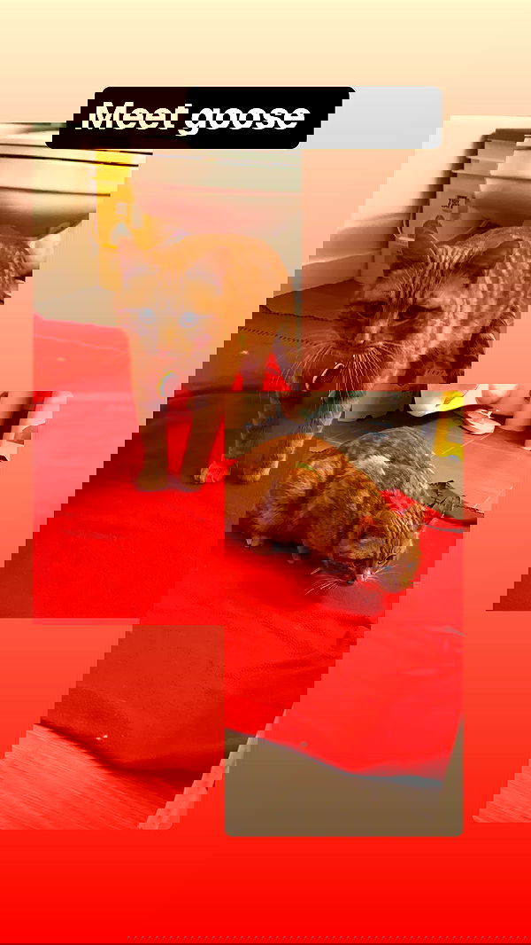 winbun.io winbun.io archive image