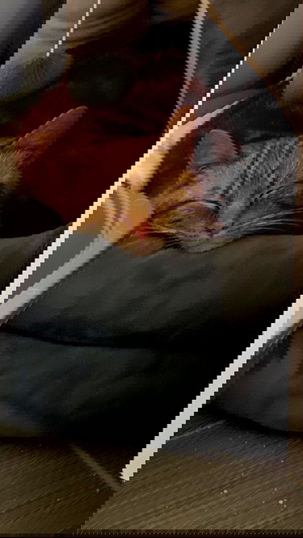 winbun.io winbun.io archive image