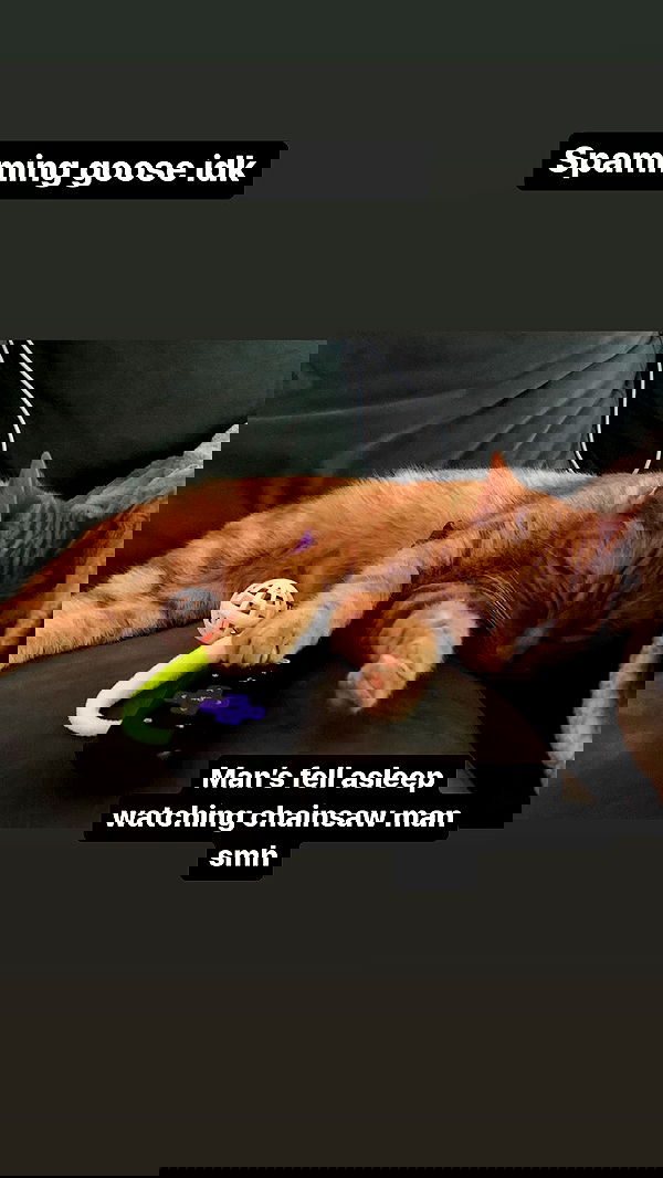 winbun.io winbun.io archive image