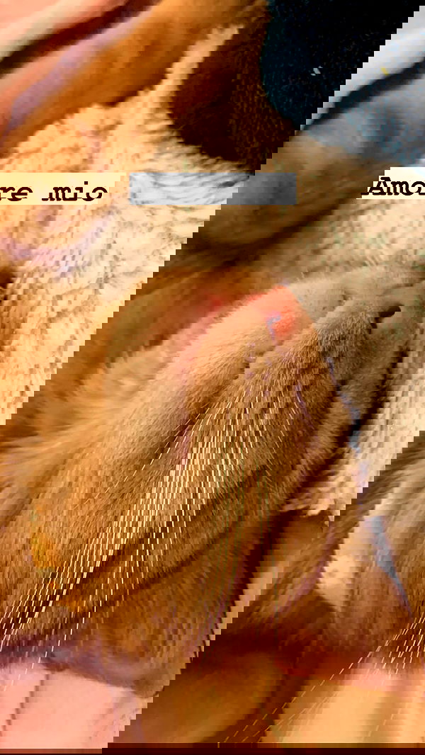 winbun.io winbun.io archive image