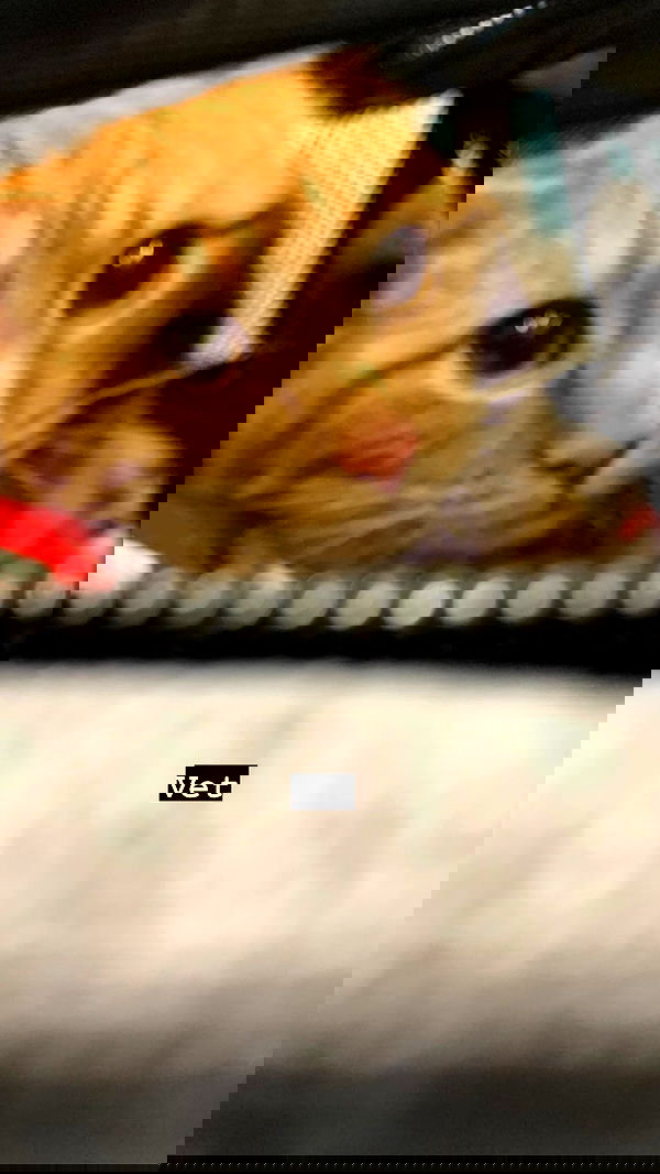 winbun.io winbun.io archive image