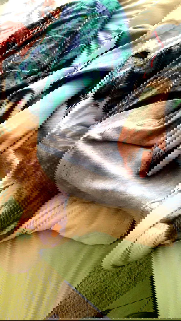 winbun.io winbun.io archive image