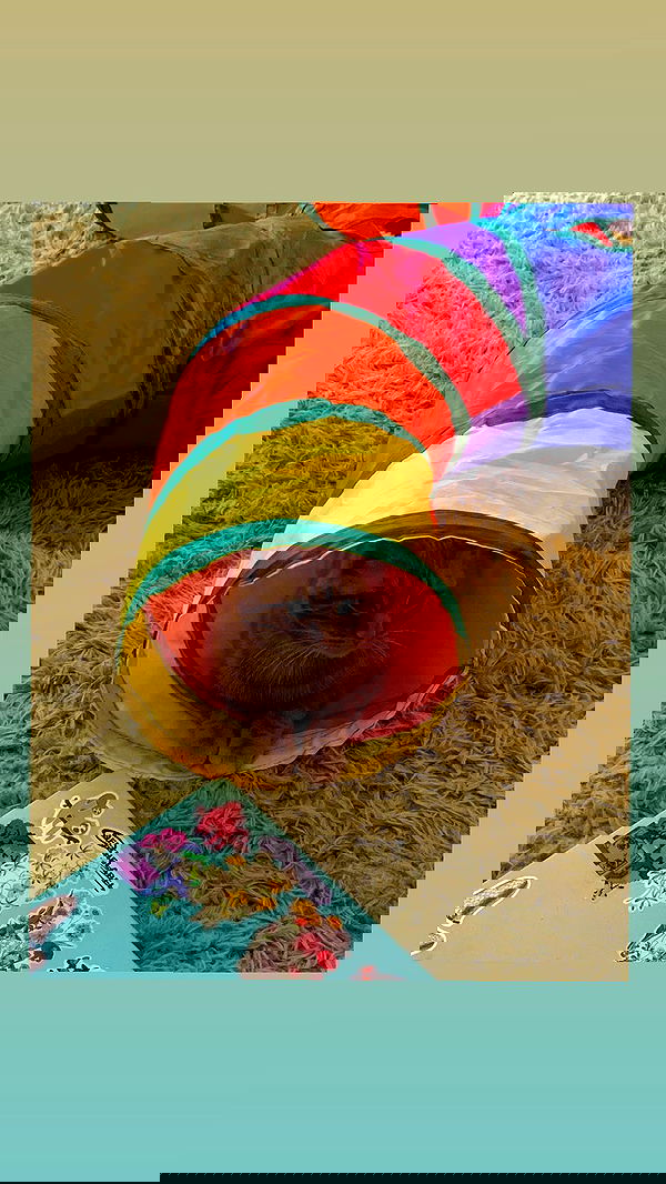 winbun.io winbun.io archive image