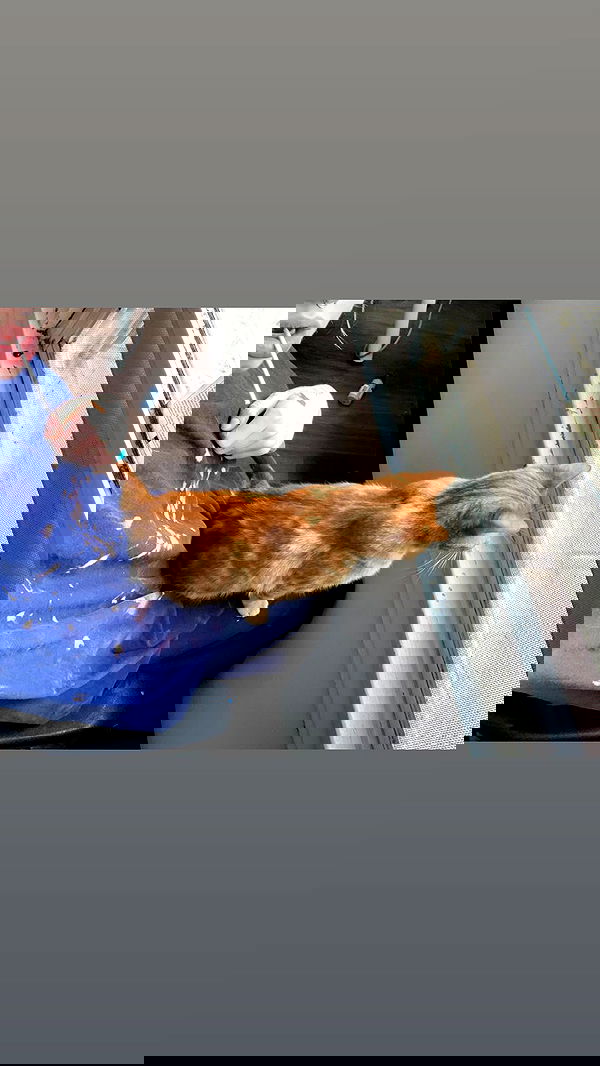 winbun.io winbun.io archive image