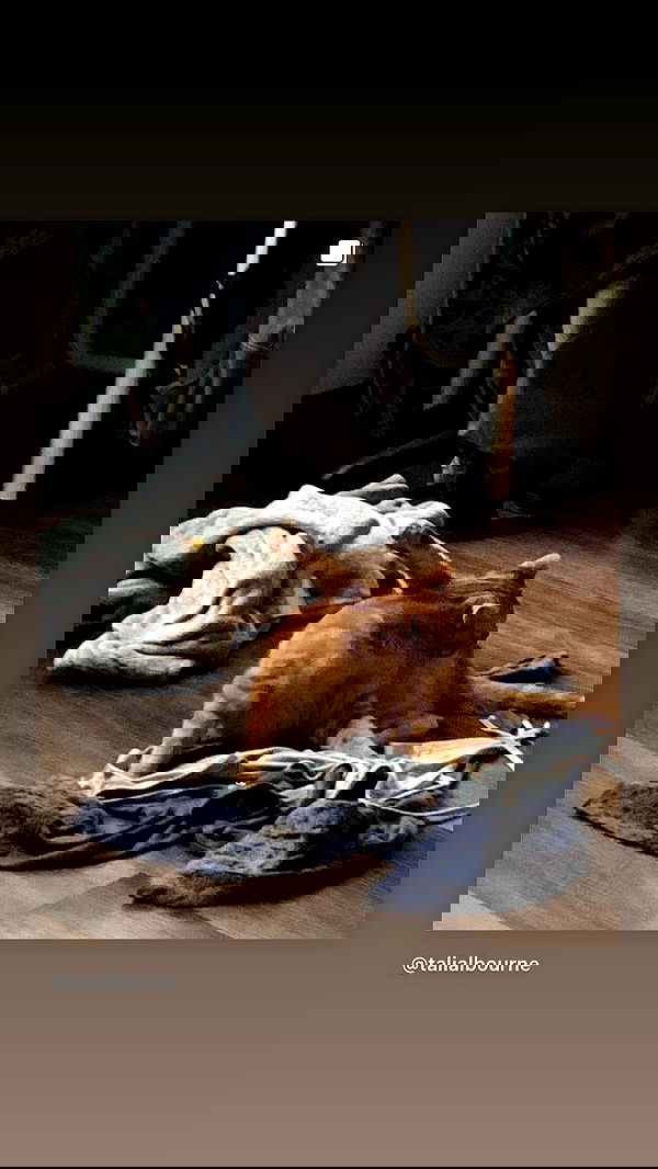 winbun.io winbun.io archive image