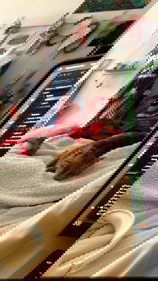 winbun.io winbun.io archive image