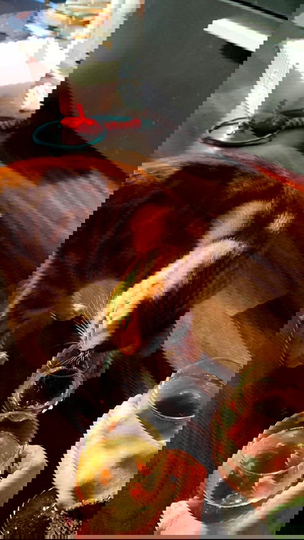 winbun.io winbun.io archive image